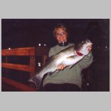 ../assets/img/Archive/2005/striper.jpg